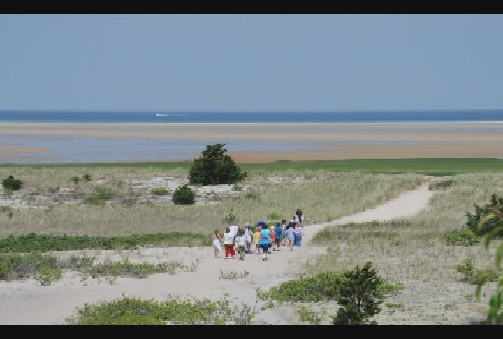 Thumbnail image for CCMNH: A Sense of Place