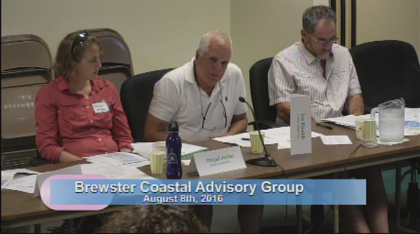 Thumbnail image for Brewster Coastal Advisory Group